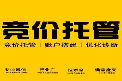 SEO与SEM优化案例：打造企业互联网品牌